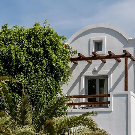 Strogili - Adults Only 4*