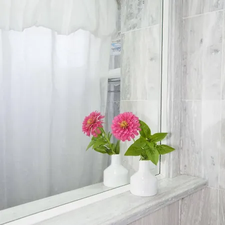 Strogili - Adults Only