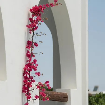 Strogili - Adults Only