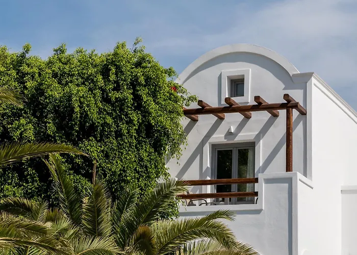 Strogili - Adults Only 4*