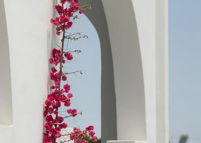 Strogili - Adults Only