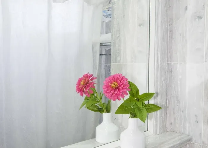 Strogili - Adults Only